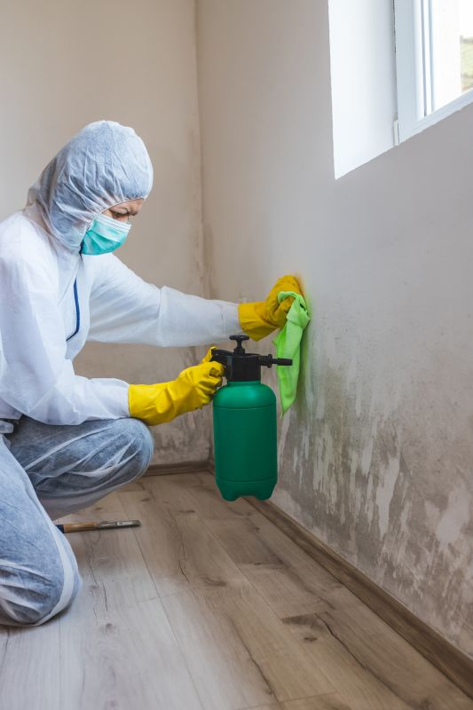 Mold Prevention Techniques