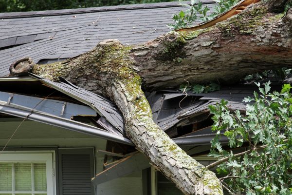 Storm Remediation in Irvine