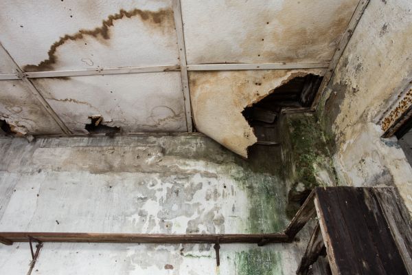 Water Damage Service in Irvine