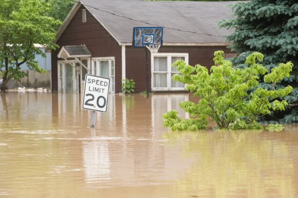 Storm Restoration Service in Irvine