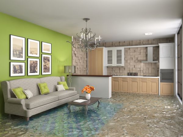 Cost of Wet Carpet Drying in Irvine