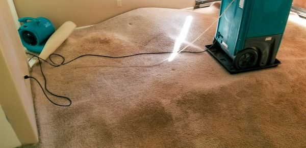 Cost of Carpet Water Extraction in Irvine