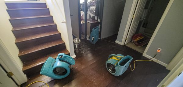 Water Damage Remediation in Irvine