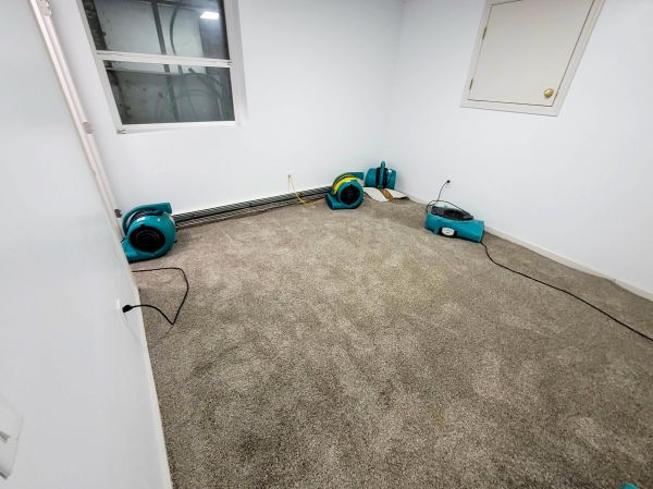 Flood Restoration Service in Irvine