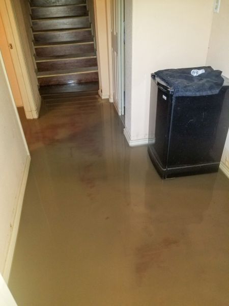 Cost of Emergency Water Removal in Irvine