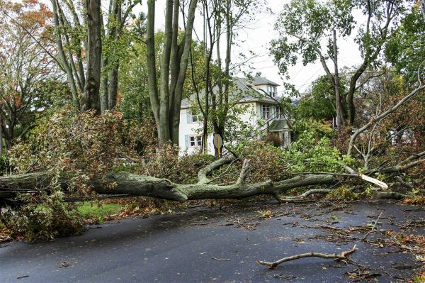 Tornado Damage Repair in Irvine