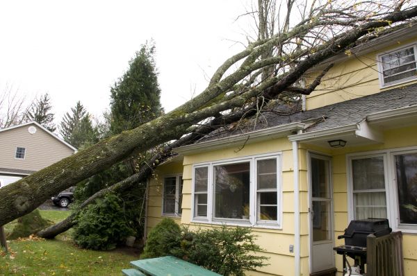 Storm Damage Mitigation in Irvine
